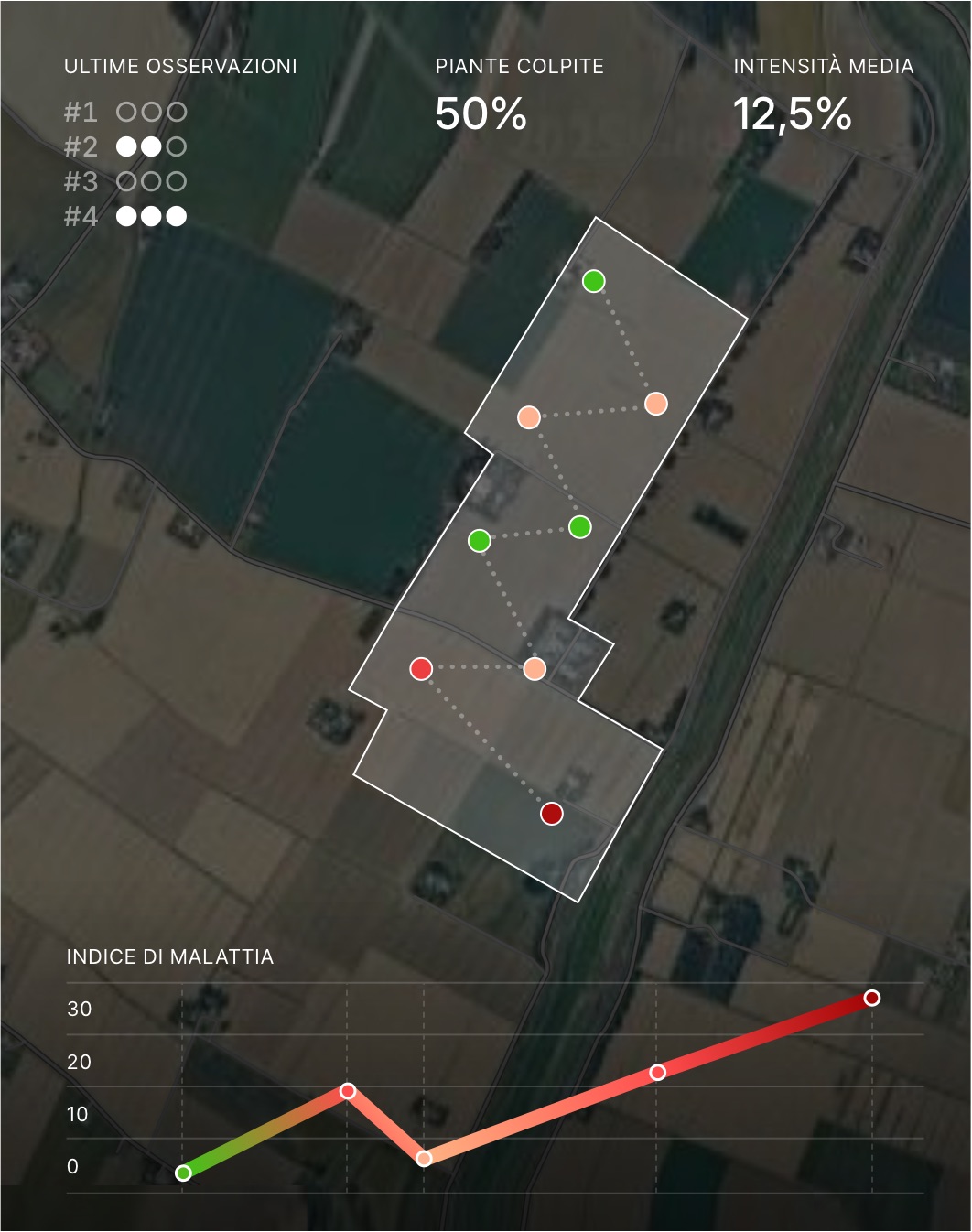 Demo visualization of the Tornatura web app
