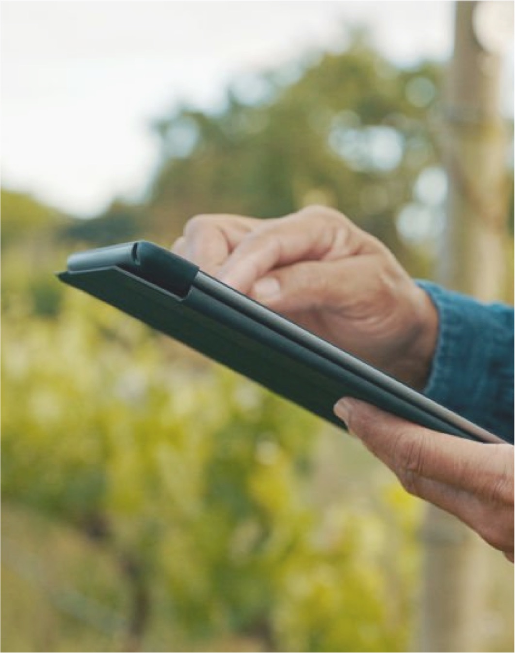 Using Tornatura in the field